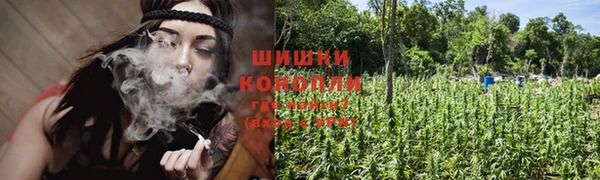 стафф Бородино